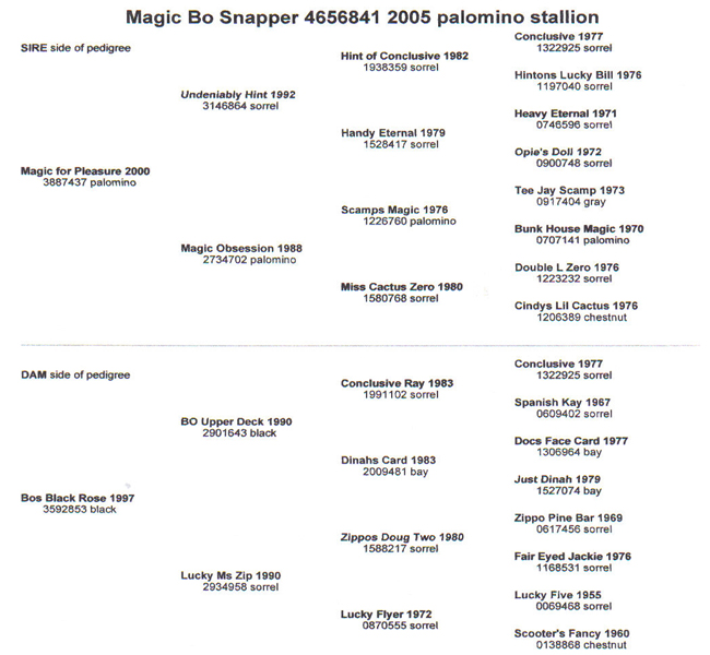 Magic Bo Snapper - Pedigree Abstammung